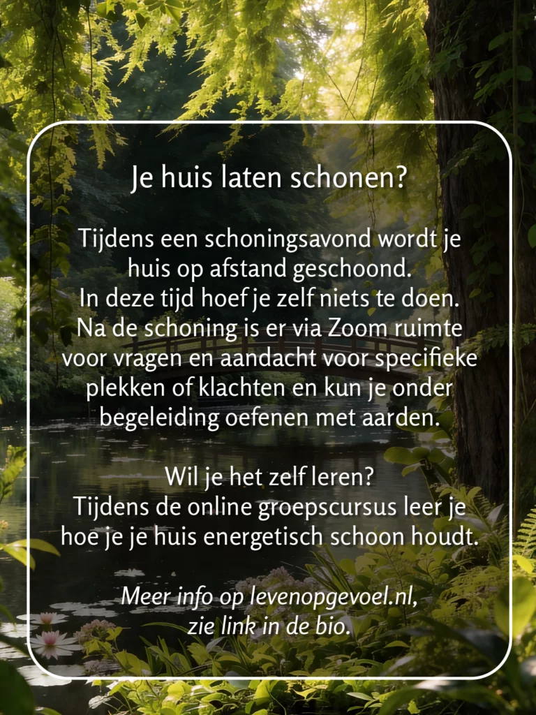 Leven op gevoel energie in huis slide 14