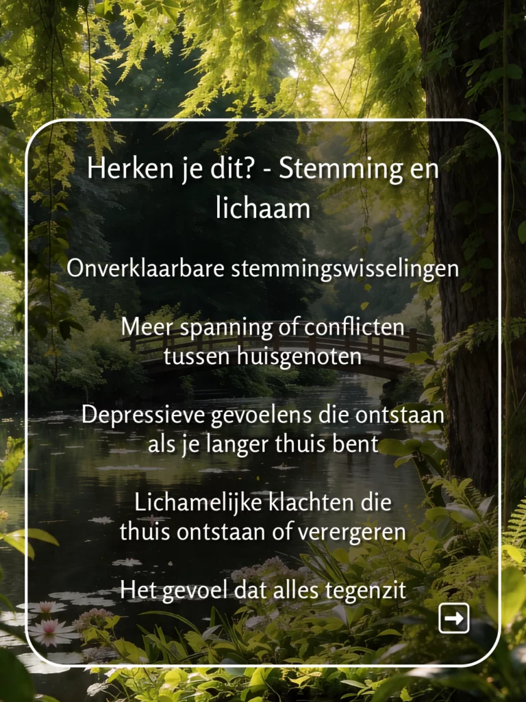 Leven op gevoel energie in huis slide 6