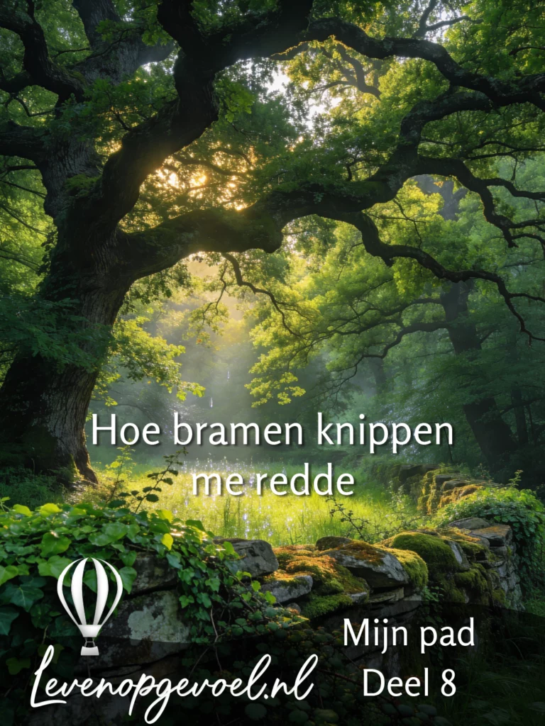 Magisch boslandschap met oude boom en knoestige takken, zonnestralen door bladerdak, mystieke mist en bemost rotswerk; tekstoverlay 'Hoe bramen knippen me redde' met 'Mijn pad Deel 8' en levenopgevoel.nl logo met blauw-witte luchtballon