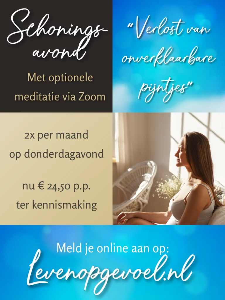 Leven op gevoel schoningsavond slide 2 1